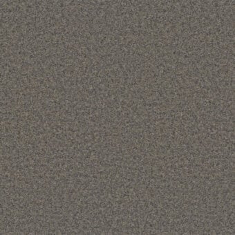 Gray textured fabric sample displaying a mottled, granular surface with subtle beige tones; matte finish, studio shot with product text.